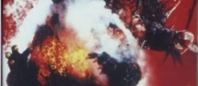 Godzilla vs. Destoroyah - DVD-Cover