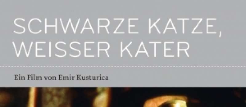DVD-Cover zu Schwarze Katze, weißer Kater / Black Cat, White Cat von Emir Kusturica